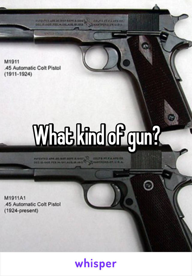 What kind of gun?