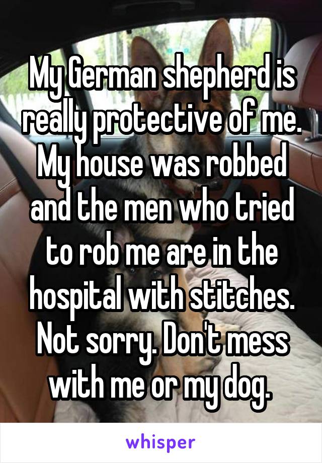 My German shepherd is really protective of me. My house was robbed and the men who tried to rob me are in the hospital with stitches. Not sorry. Don't mess with me or my dog. 
