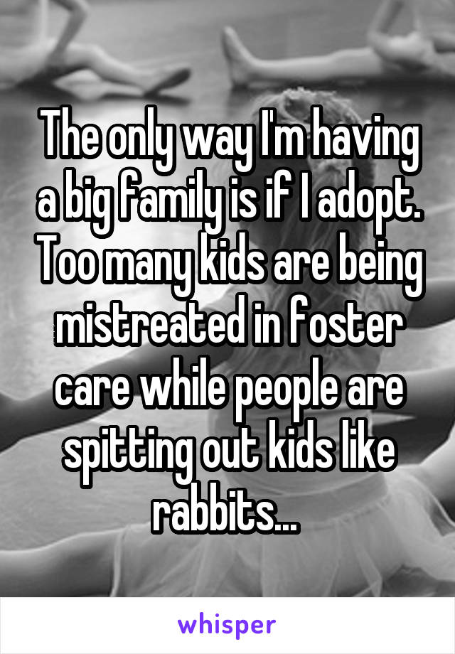 The only way I'm having a big family is if I adopt. Too many kids are being mistreated in foster care while people are spitting out kids like rabbits... 
