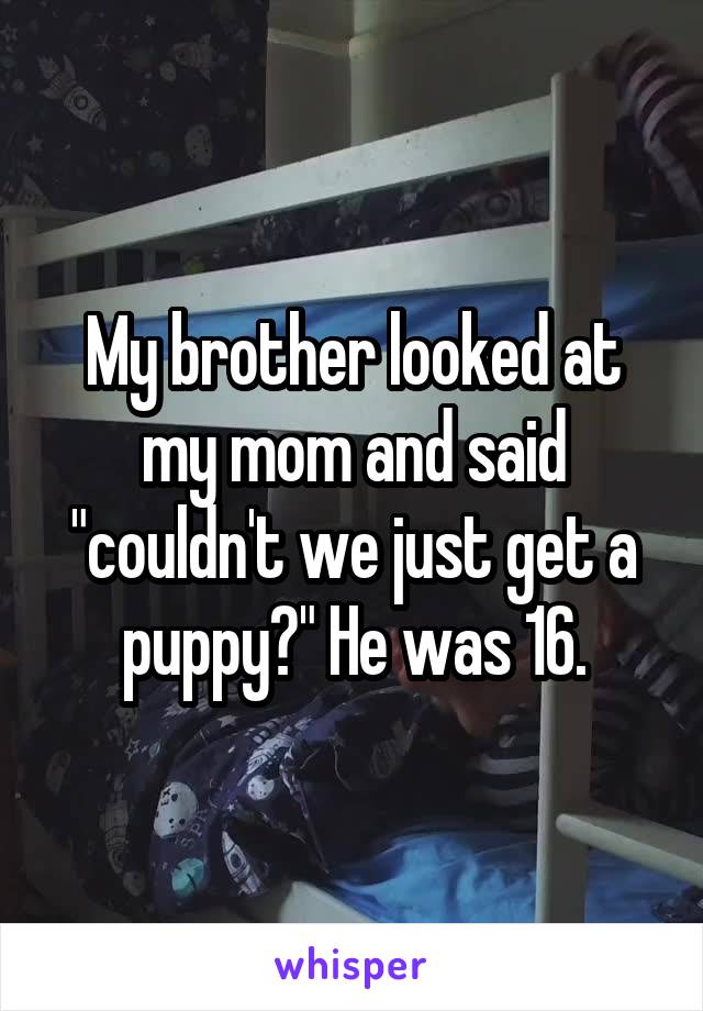 My brother looked at my mom and said "couldn't we just get a puppy?" He was 16.