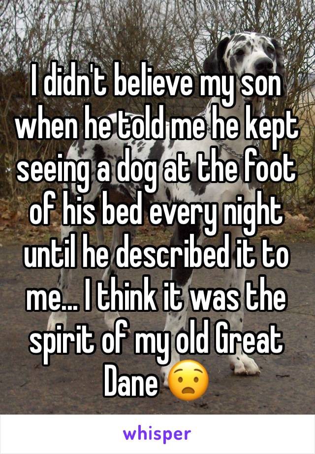 I didn't believe my son when he told me he kept seeing a dog at the foot of his bed every night until he described it to me... I think it was the spirit of my old Great Dane 😧
