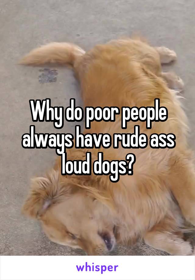 Why do poor people always have rude ass loud dogs?