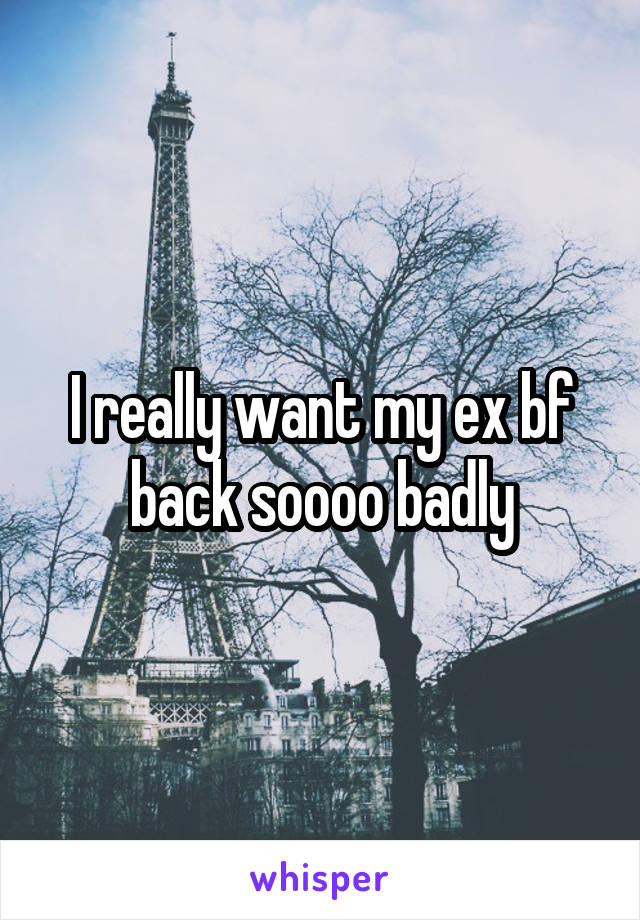 I really want my ex bf back soooo badly