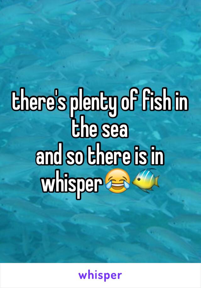 there's plenty of fish in the sea
and so there is in whisper😂🐠