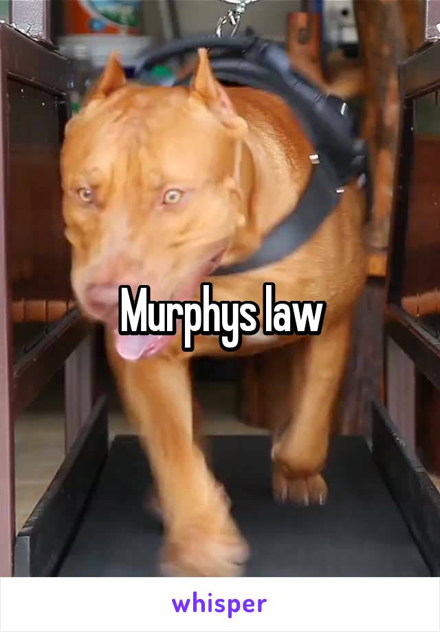Murphys law