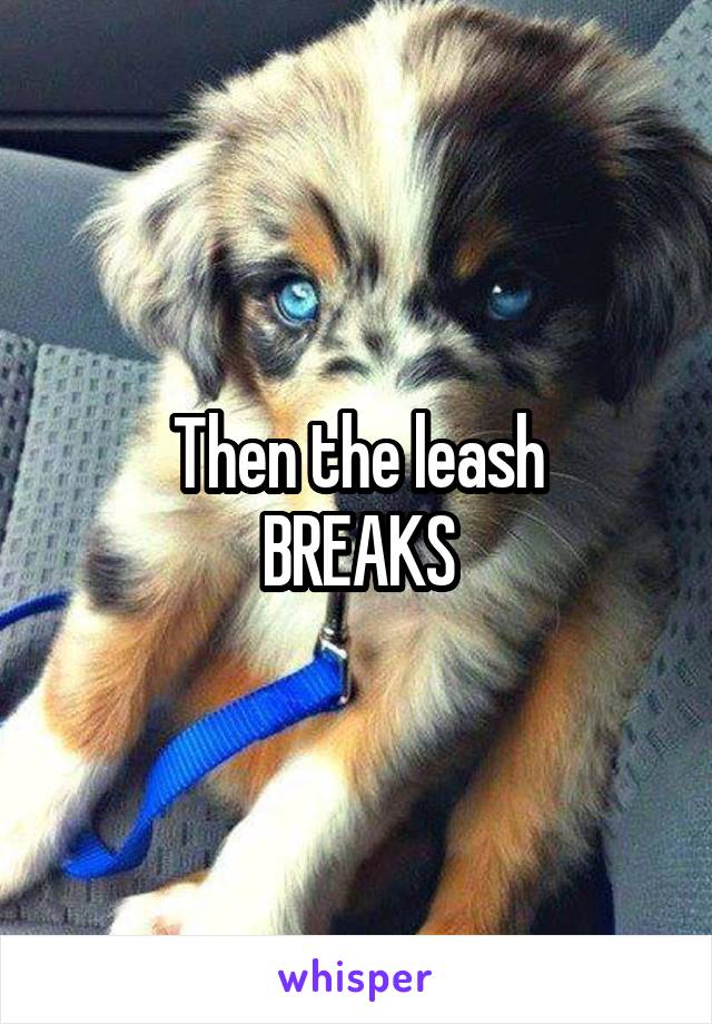 Then the leash
BREAKS