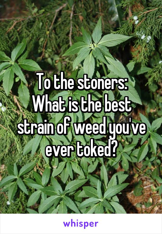 To the stoners:
What is the best strain of weed you've ever toked?