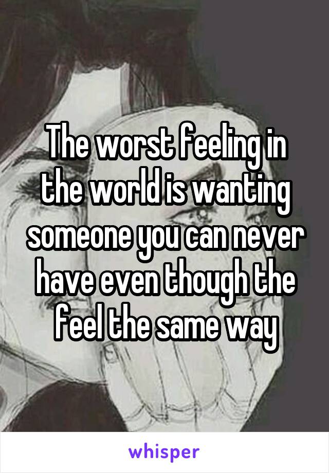 The worst feeling in the world is wanting someone you can never have even though the feel the same way