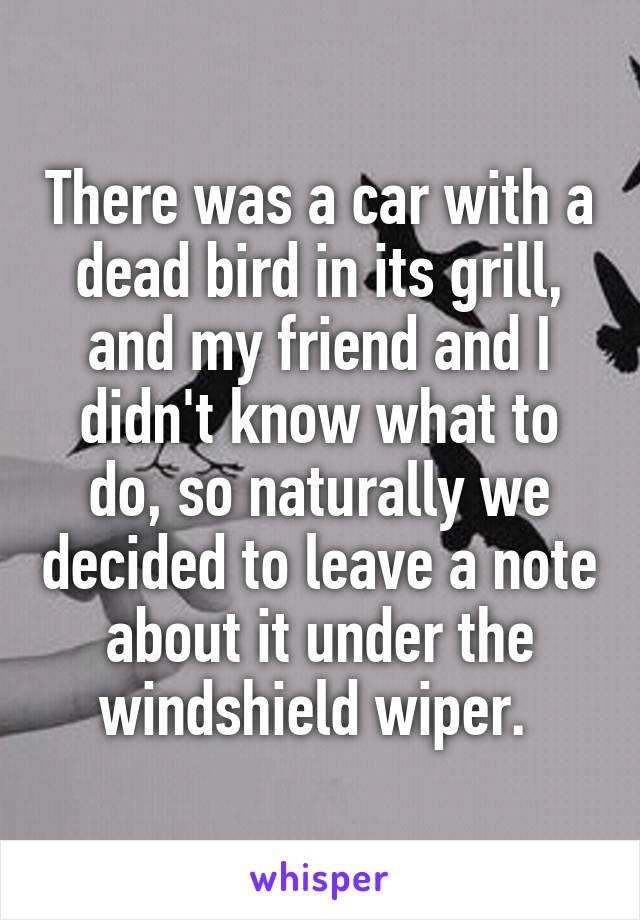 There was a car with a dead bird in its grill, and my friend and I didn't know what to do, so naturally we decided to leave a note about it under the windshield wiper. 