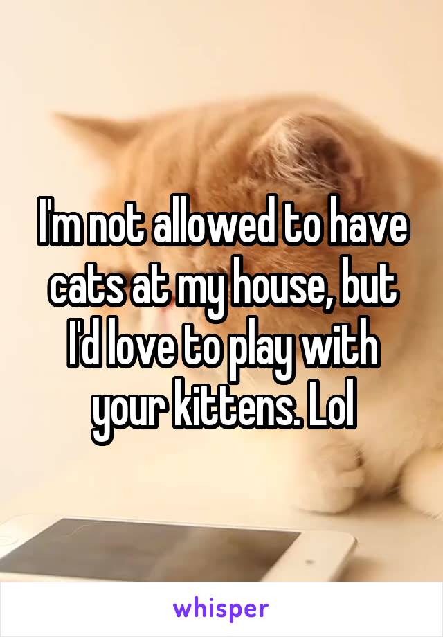 I'm not allowed to have cats at my house, but I'd love to play with your kittens. Lol
