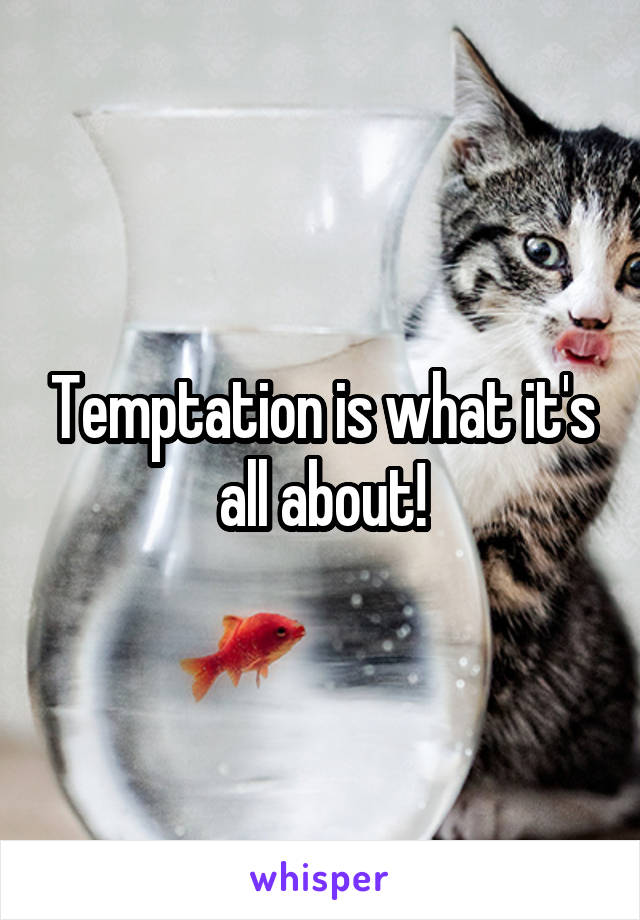 Temptation is what it's all about!