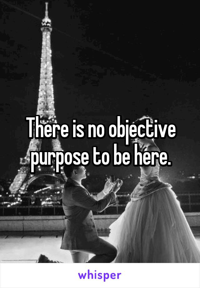 There is no objective purpose to be here.