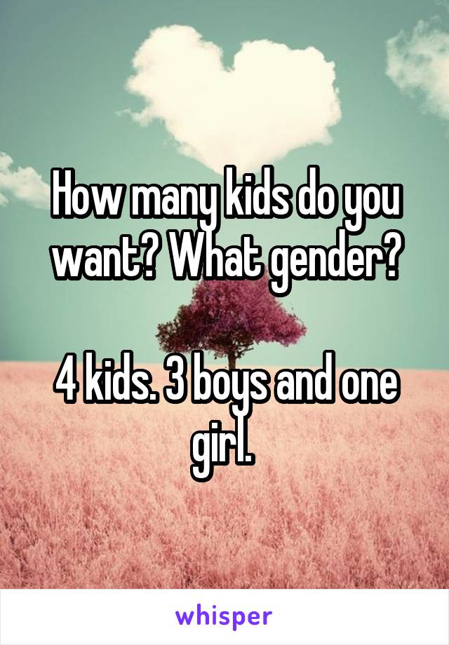 How many kids do you want? What gender?

4 kids. 3 boys and one girl. 