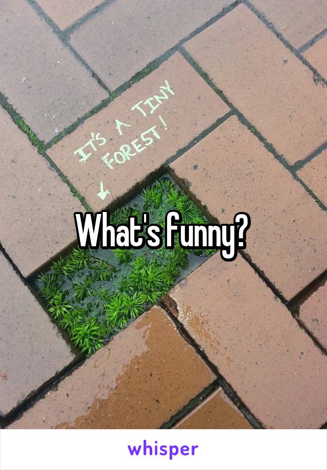 What's funny? 