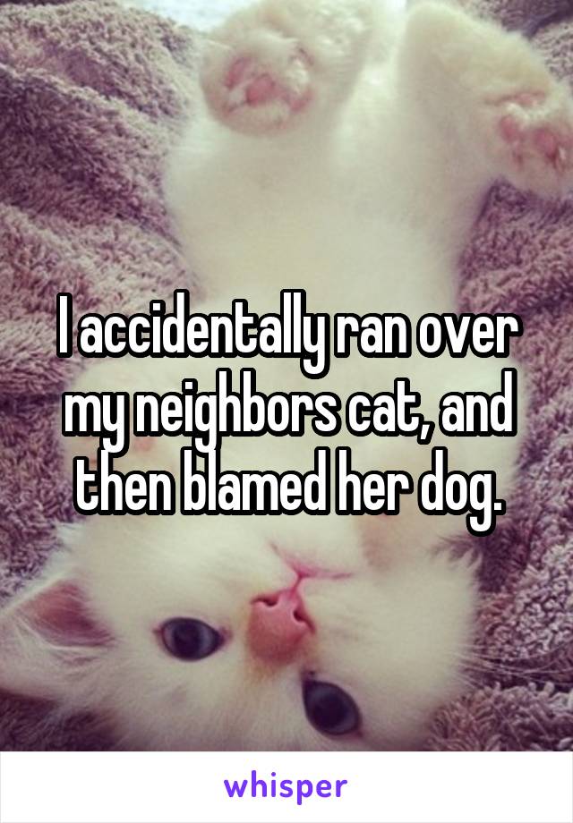 I accidentally ran over my neighbors cat, and then blamed her dog.
