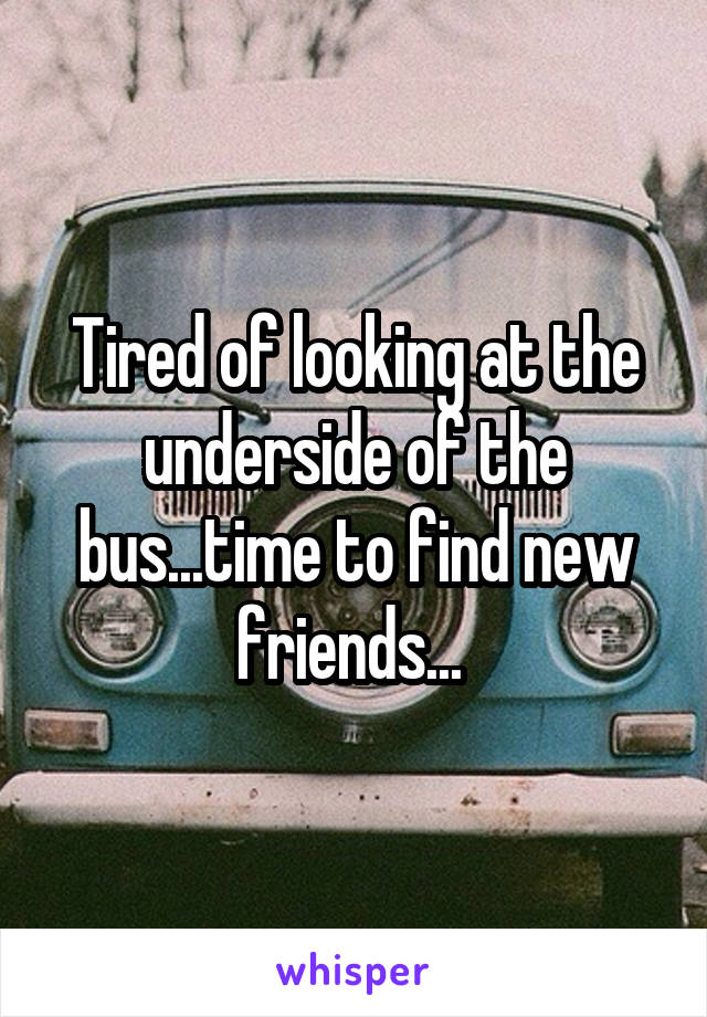 Tired of looking at the underside of the bus...time to find new friends... 