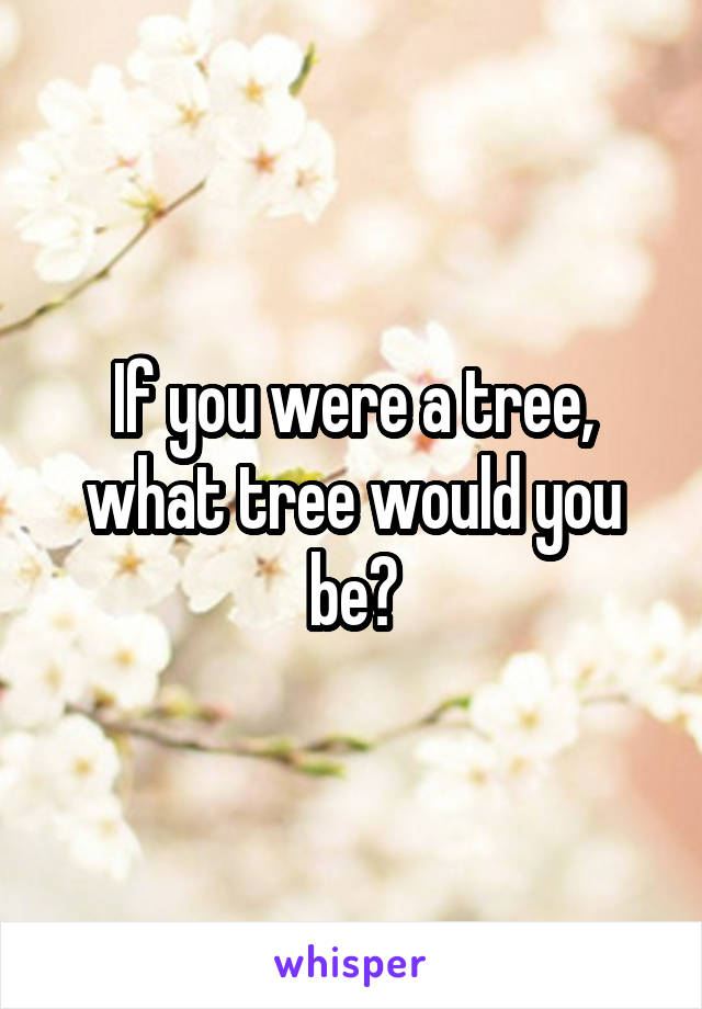 If you were a tree, what tree would you be?