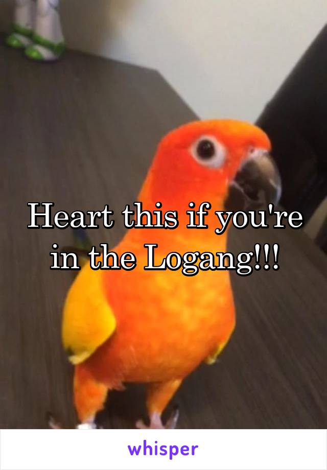 Heart this if you're in the Logang!!!