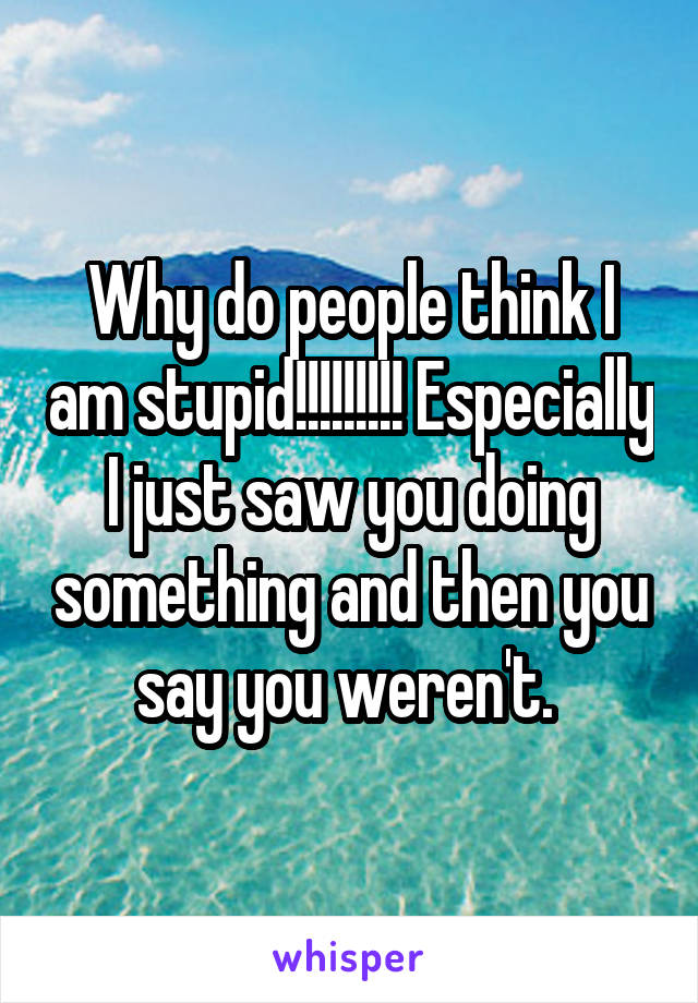 Why do people think I am stupid!!!!!!!!! Especially I just saw you doing something and then you say you weren't. 