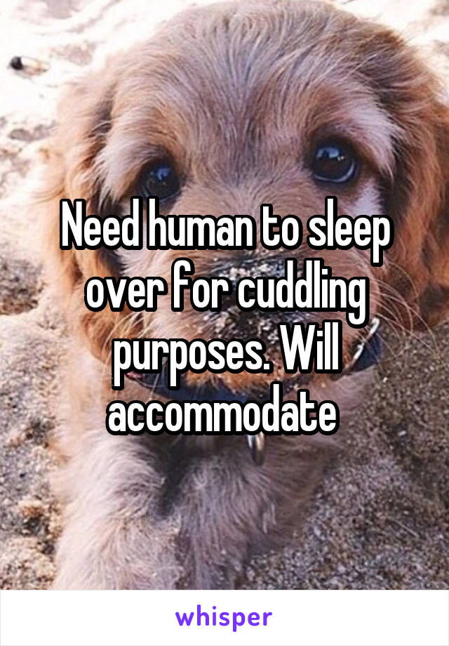 Need human to sleep over for cuddling purposes. Will accommodate 