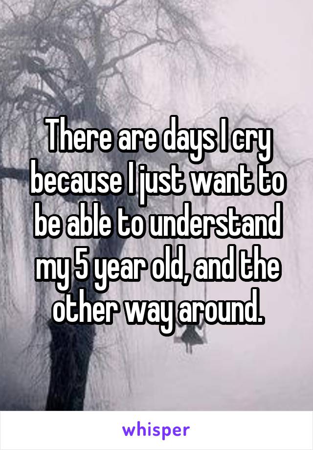 There are days I cry because I just want to be able to understand my 5 year old, and the other way around.