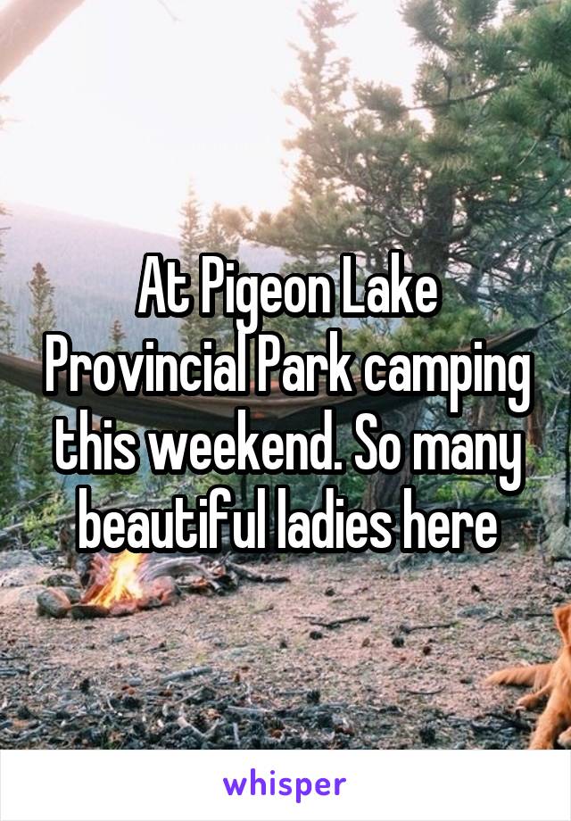 At Pigeon Lake Provincial Park camping this weekend. So many beautiful ladies here