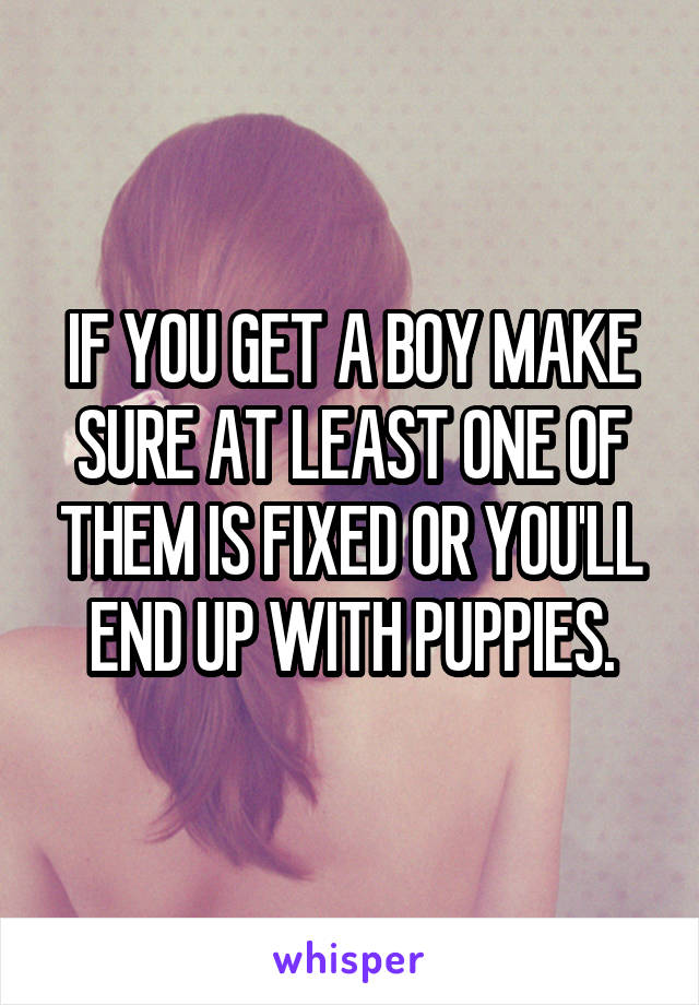 IF YOU GET A BOY MAKE SURE AT LEAST ONE OF THEM IS FIXED OR YOU'LL END UP WITH PUPPIES.