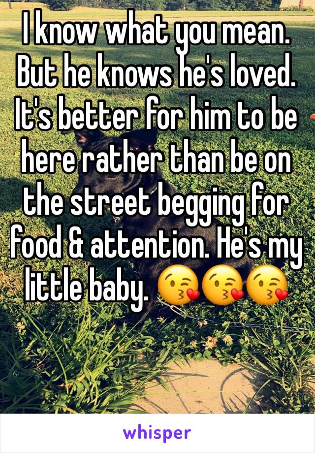 I know what you mean. But he knows he's loved. It's better for him to be here rather than be on the street begging for food & attention. He's my little baby. 😘😘😘