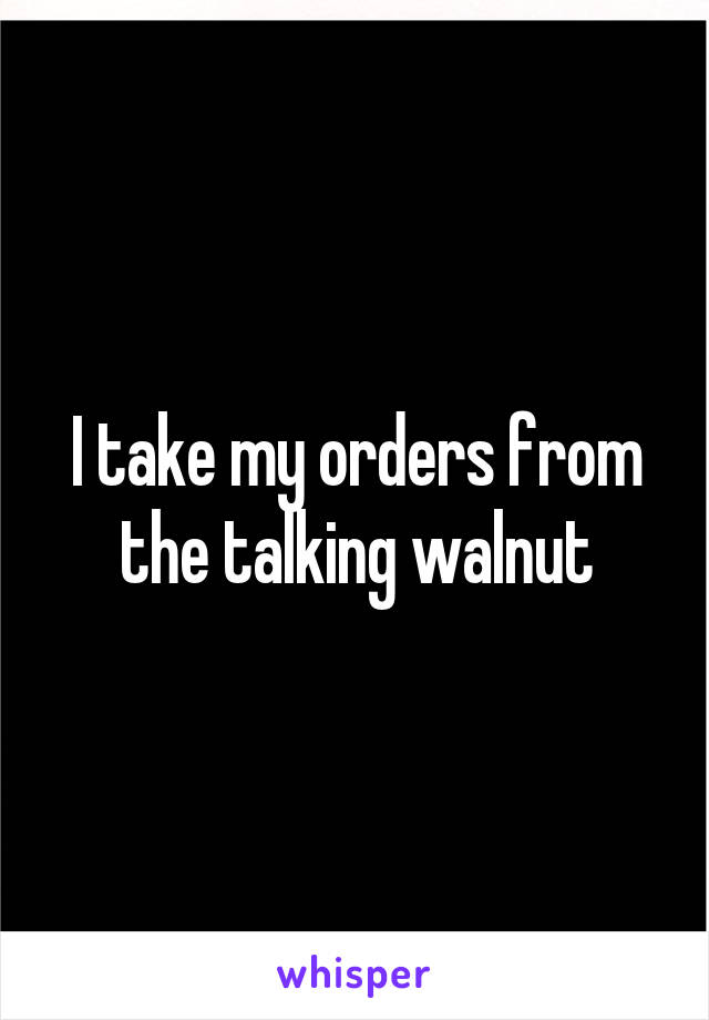 I take my orders from the talking walnut