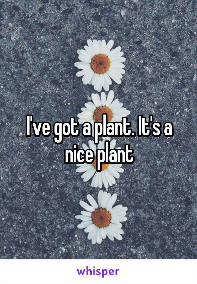 I've got a plant. It's a nice plant