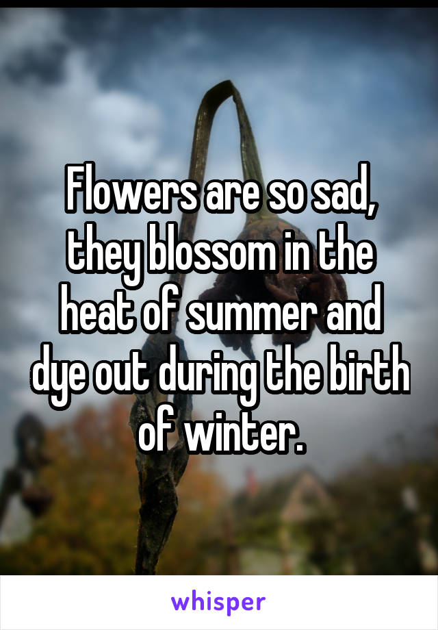 Flowers are so sad, they blossom in the heat of summer and dye out during the birth of winter.