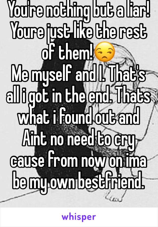 You're nothing but a liar! Youre just like the rest of them!😒 
Me myself and I. That's all i got in the end. Thats what i found out and Aint no need to cry cause from now on ima be my own bestfriend.