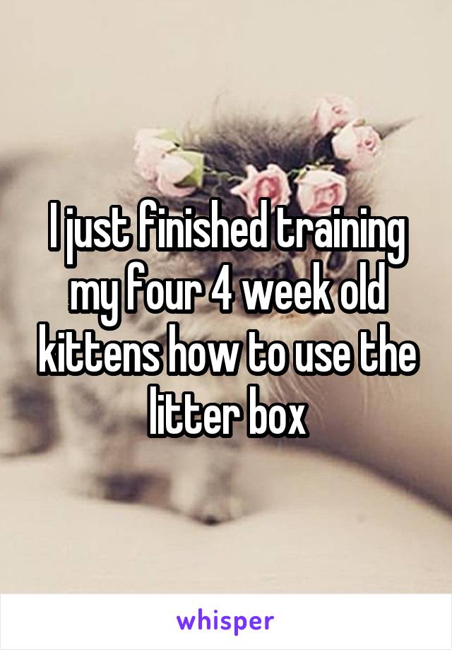 I just finished training my four 4 week old kittens how to use the litter box