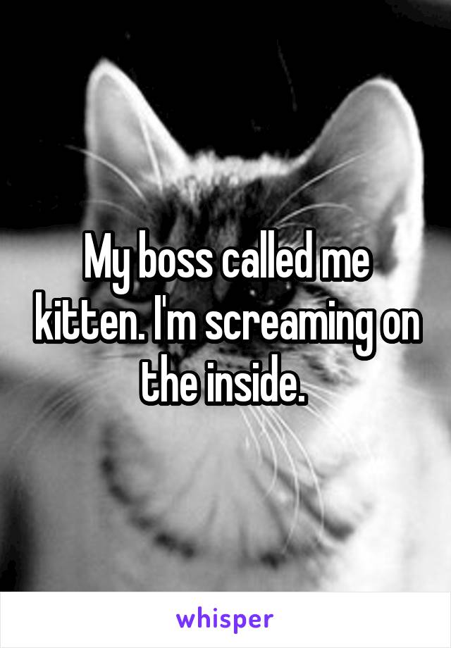 My boss called me kitten. I'm screaming on the inside. 
