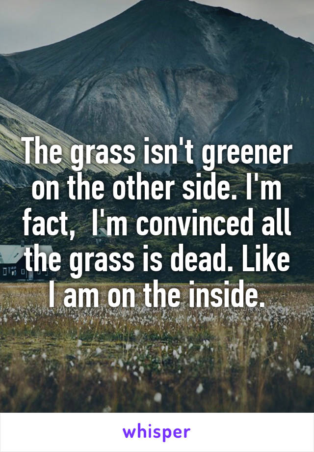 The grass isn't greener on the other side. I'm fact,  I'm convinced all the grass is dead. Like I am on the inside.