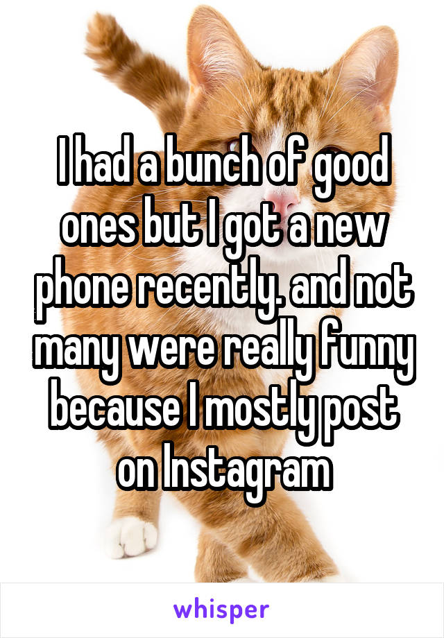 I had a bunch of good ones but I got a new phone recently. and not many were really funny because I mostly post on Instagram