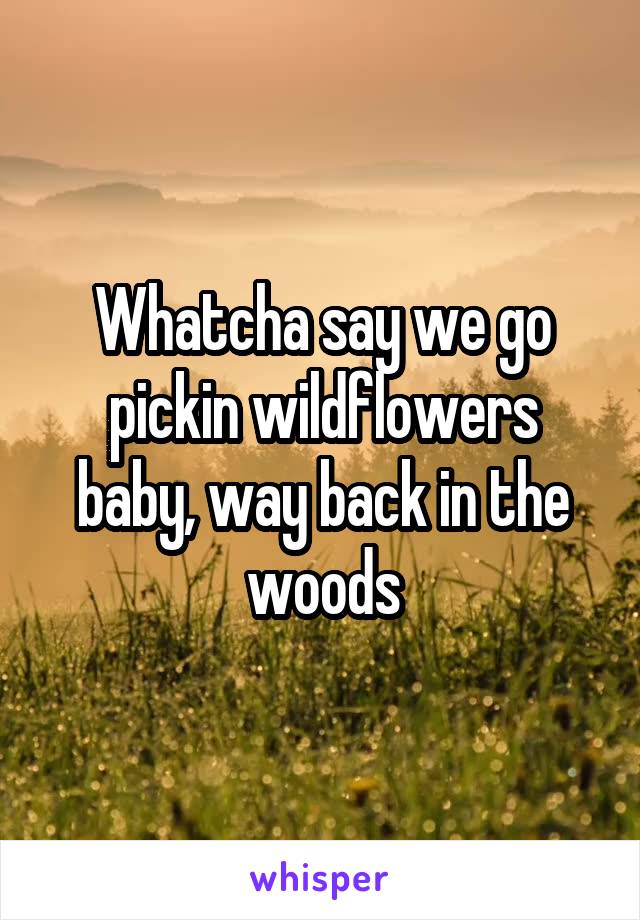 Whatcha say we go pickin wildflowers baby, way back in the woods