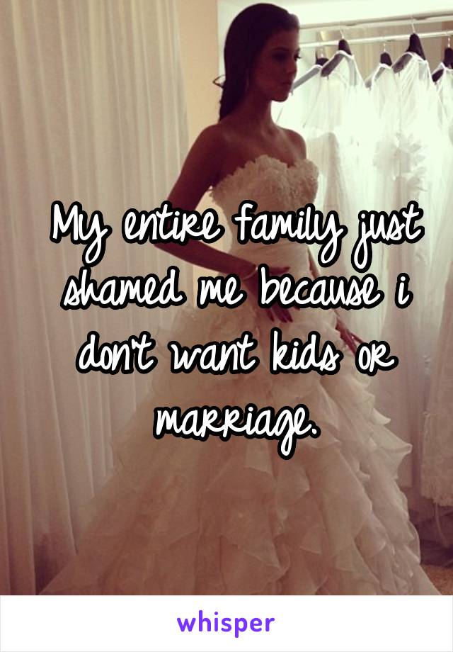 My entire family just shamed me because i don't want kids or marriage.