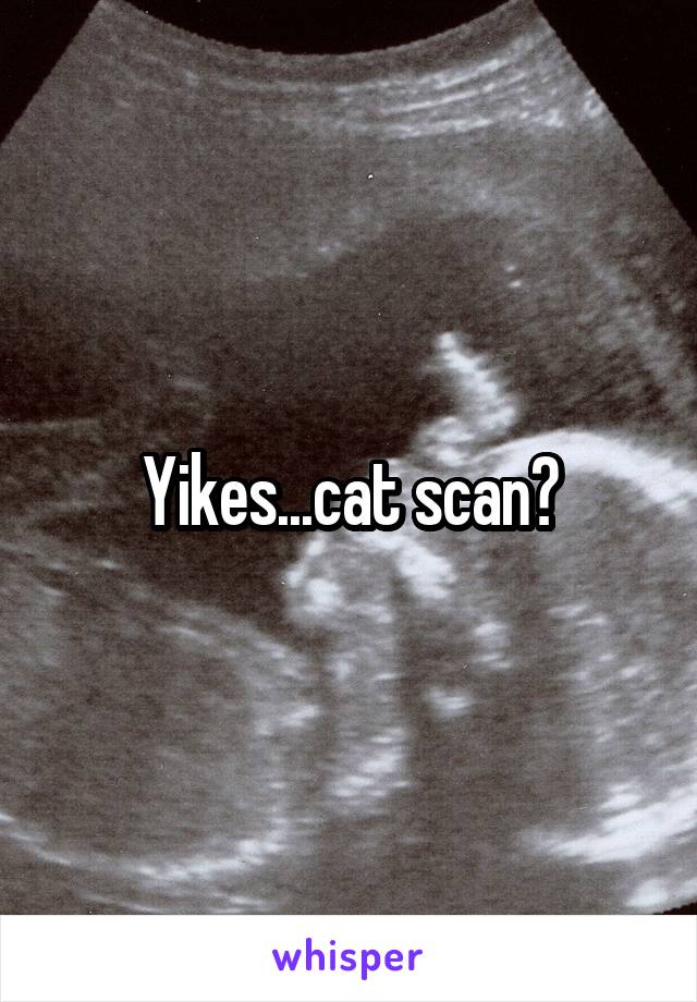  Yikes...cat scan?