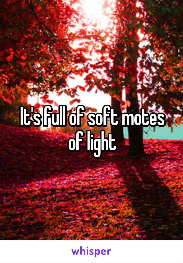 It's full of soft motes of light