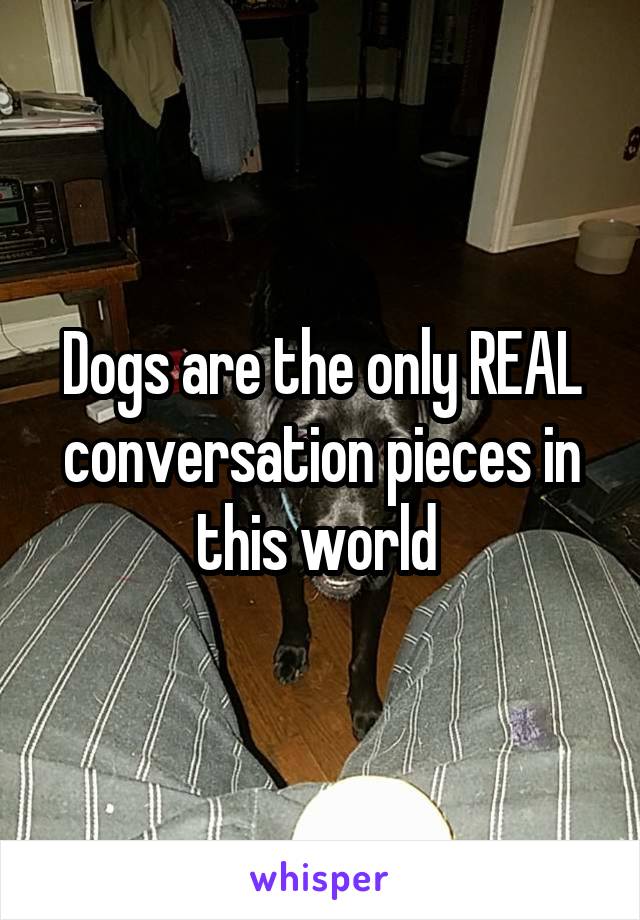Dogs are the only REAL conversation pieces in this world 