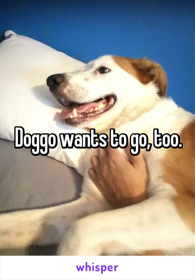 Doggo wants to go, too.