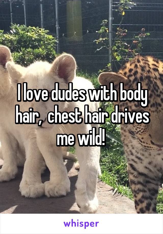 I love dudes with body hair,  chest hair drives me wild! 