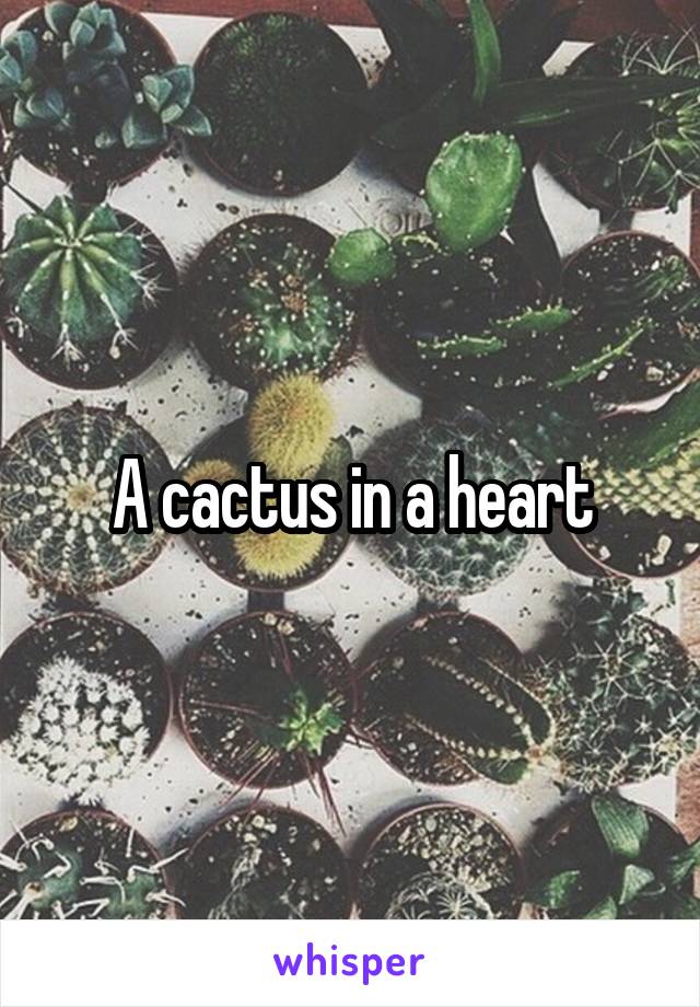 A cactus in a heart