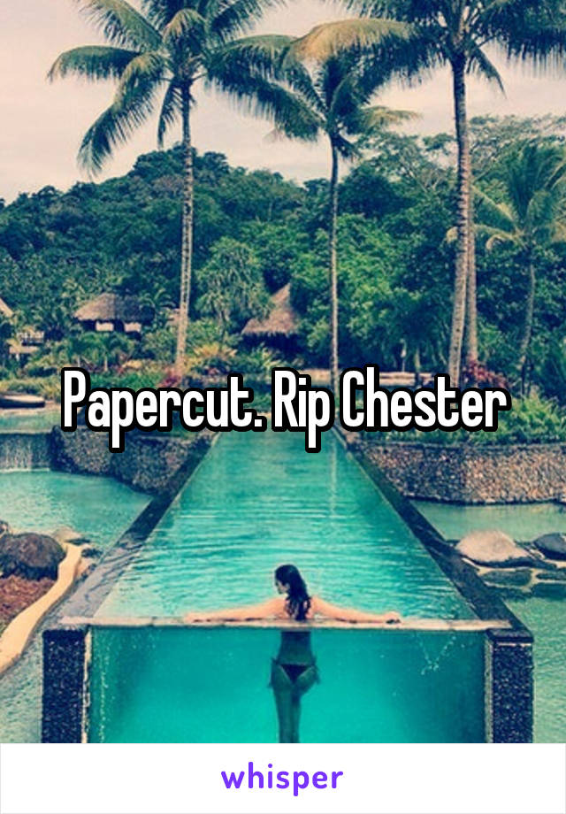 Papercut. Rip Chester