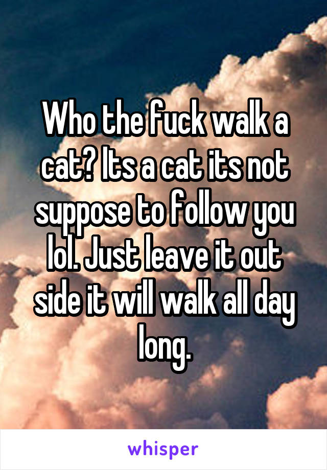 Who the fuck walk a cat? Its a cat its not suppose to follow you lol. Just leave it out side it will walk all day long.