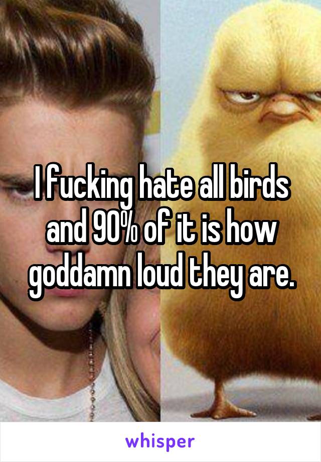 I fucking hate all birds and 90% of it is how goddamn loud they are.