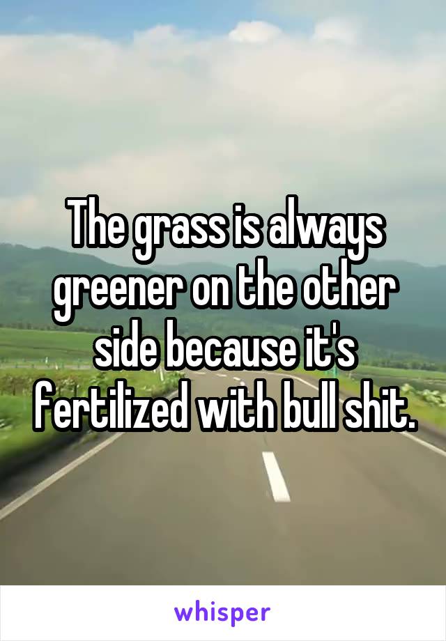 The grass is always greener on the other side because it's fertilized with bull shit.