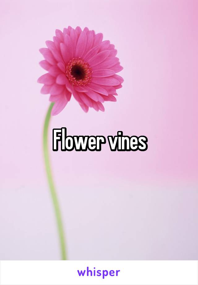 Flower vines