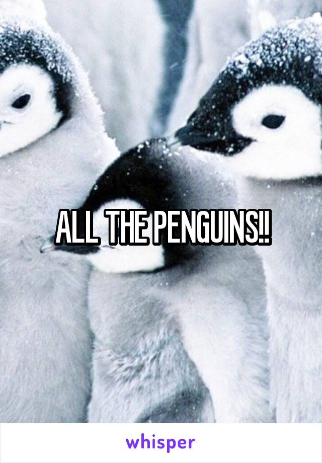 ALL THE PENGUINS!!